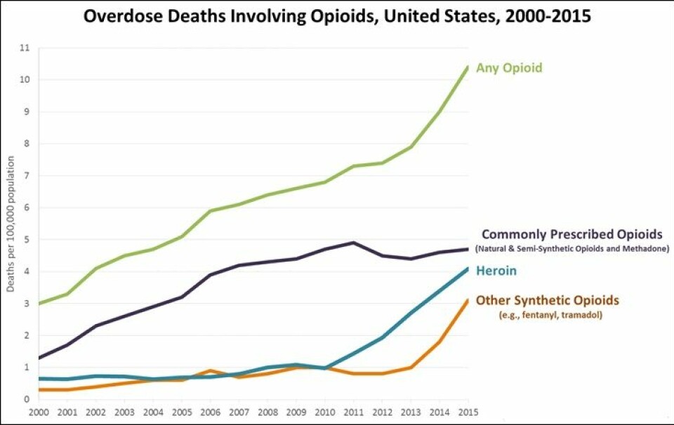 Stadig flere amerikanere dør av en overdose opioider. Opioider kan være alt fra heroin til legemidler med morfin. Nesten halvparten av dødsfallene skyldes reseptbelagte medisiner. (Illustrasjon: Centers for Disease Control and Prevention, hentet fra Wikimedia Commons)