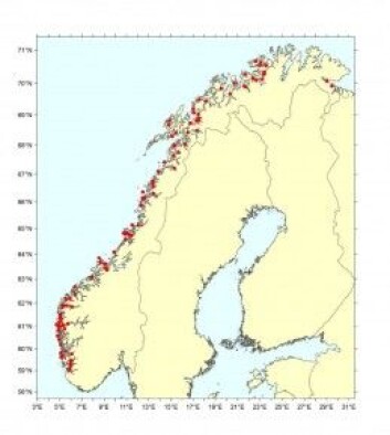 Prøvene kjem frå 100 oppdrettsanlegg frå heile kysten. (Bilde: Havforskingsinstituttet) Prøvene kjem frå 100 oppdrettsanlegg frå heile kysten. (Bilde: Havforskingsinstituttet)