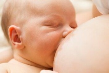 Ifølge den nye studien er det flest immunstoffer i ubehandlet morsmelk, men samtidig flere bakterier. (Foto: Kaspars Grinvalds / Shutterstock / NTB scanpix) Ifølge den nye studien er det flest immunstoffer i ubehandlet morsmelk, men samtidig flere bakterier. (Foto: Kaspars Grinvalds / Shutterstock / NTB scanpix)