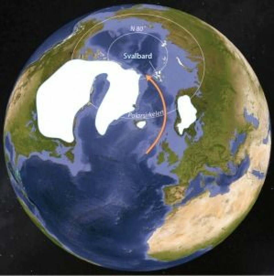 Den nordlige halvkule for 11 000 år siden. Det var enda store rester av breene fra siste istid i Skandinavia, Island, Grønland og Nord-Amerika, mens Svalbard allerede var varmere enn i dag. Den røde pila viser det vi i dagligtalen kaller Golfstrømmen. (Grafikk: Eva Bjørseth)