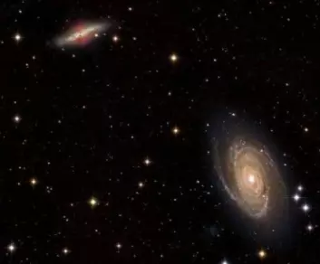 Det er ikke helt utenkelig at galaktiske vinder overfører gass mellom galaksene M82 (øverst) og M81. (Foto: Fred Herrmann)