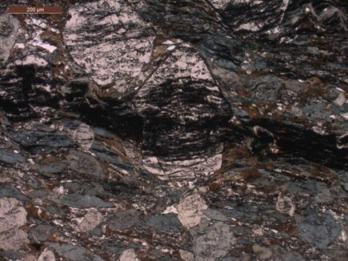 Forskerne har funnet tegn på liv i en granatstein, som sitter innleiret i 3,7 milliarder år gamle bergarter fra Isua på Grønland. Bildet viser steinen etter at forskerne har skåret ut den i en tynn skive – en tynnslip. Den mørke stripen i midten er karbon. Karbonet i studien er tatt fra midten av granatene – en av de store lyse partiklene i midten av bildet. (Foto: Minik Rosing)
