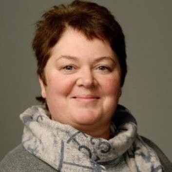 Ellen A. Andreassen Jaatun er overlege og forsker. (Foto: NTNU) Ellen A. Andreassen Jaatun er overlege og forsker. (Foto: NTNU)
