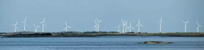 Vindmøllene på Smøla har i snitt slått i hjel én havørn for hver tiende turbin hvert år. (Foto: Georg Mathisen)