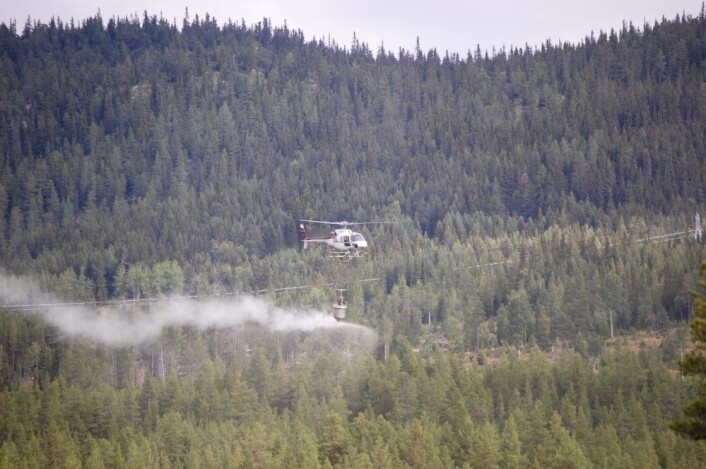 Slik ser gjødslingen ut fra lufta. (Foto: NIBIO) Slik ser gjødslingen ut fra lufta. (Foto: NIBIO)
