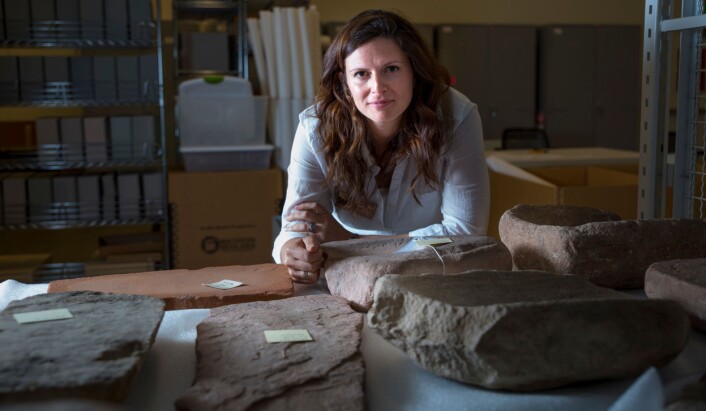 Forsker Lisbeth Louderback med noen av steinredskapene som den amerikanske urbefolkningen brukte til å bearbeide poteter med. (Foto: University of Utah) Forsker Lisbeth Louderback med noen av steinredskapene som den amerikanske urbefolkningen brukte til å bearbeide poteter med. (Foto: University of Utah)
