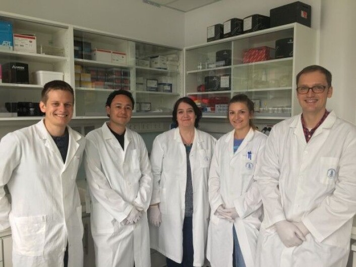 Gruppen i Bergen som jobber på GEMNS-prosjektet. Fra venstre: Thomas Hare, Ivan Rios-Mondragon, Mihaela Roxana Cimpan, Melanie Ostermann og Alexander Sauter. (Foto: UiB) Gruppen i Bergen som jobber på GEMNS-prosjektet. Fra venstre: Thomas Hare, Ivan Rios-Mondragon, Mihaela Roxana Cimpan, Melanie Ostermann og Alexander Sauter. (Foto: UiB)