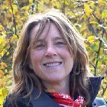 Birgitte Seip ved Sykehuset i Vestfold fant at flere kvinner synes kikkertundersøkelser av tarmen er vondt, enn menn. (Foto: privat) Birgitte Seip ved Sykehuset i Vestfold fant at flere kvinner synes kikkertundersøkelser av tarmen er vondt, enn menn. (Foto: privat)