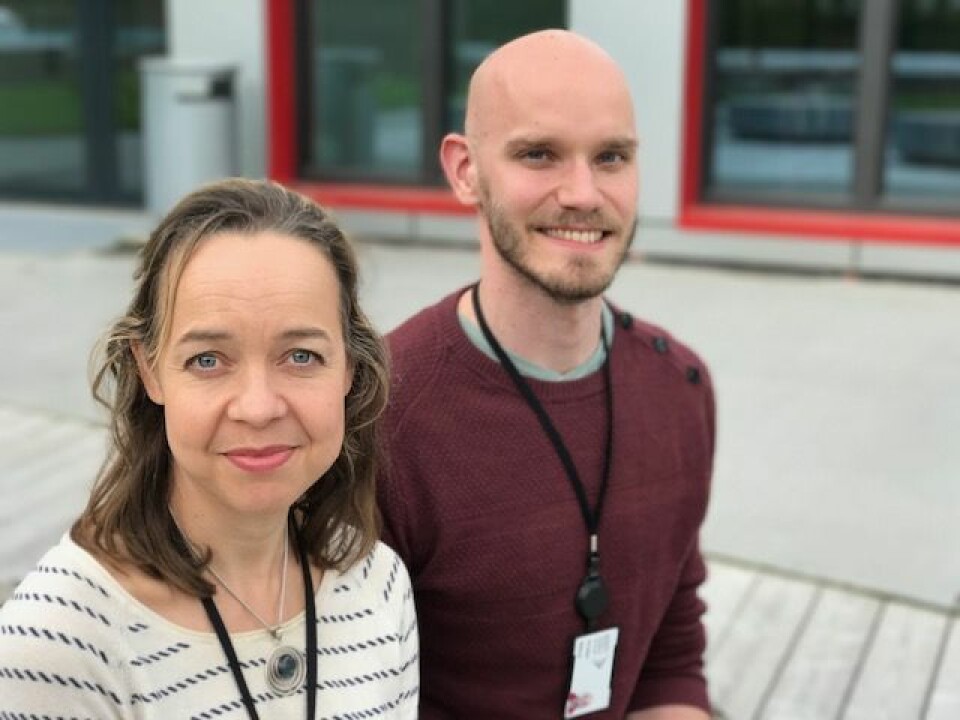 Finskfødte Paula Berstad og danske Markus Knudsen ved Kreftregisteret er nysgjerrige på hvorfor vi i Norge har så mye tarmkreft. (Foto: Siw Ellen Jakobsen)
