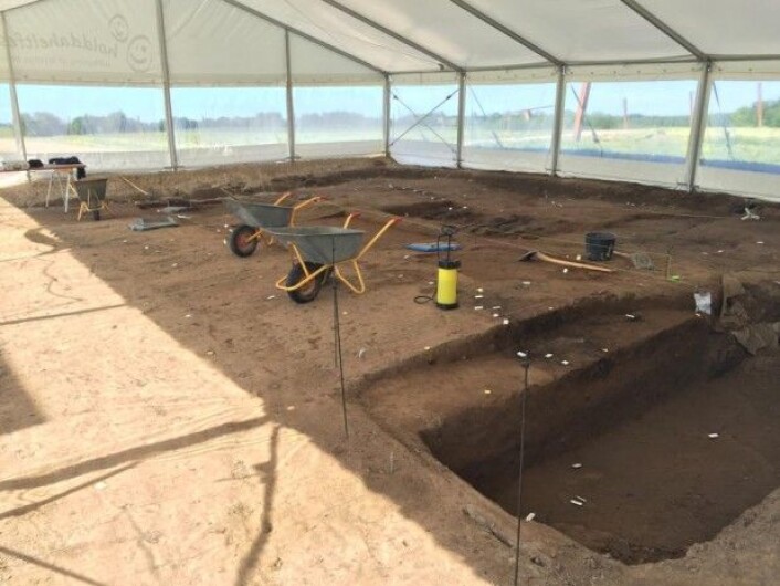 Arkeologene graver i Nordporten, Borgrings hovedinngang, i en måned. Senere går de over til midten av borgen. (Foto: Charlotte Price Persson) Arkeologene graver i Nordporten, Borgrings hovedinngang, i en måned. Senere går de over til midten av borgen. (Foto: Charlotte Price Persson)