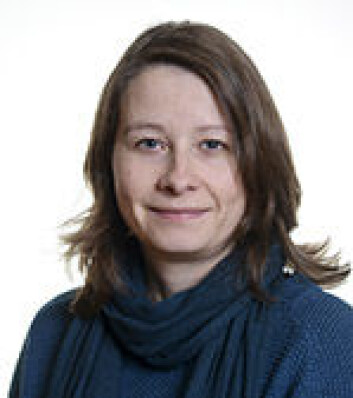 Inger-Lise Solberg er forsker ved NGU. (Foto: NGU) Inger-Lise Solberg er forsker ved NGU. (Foto: NGU)