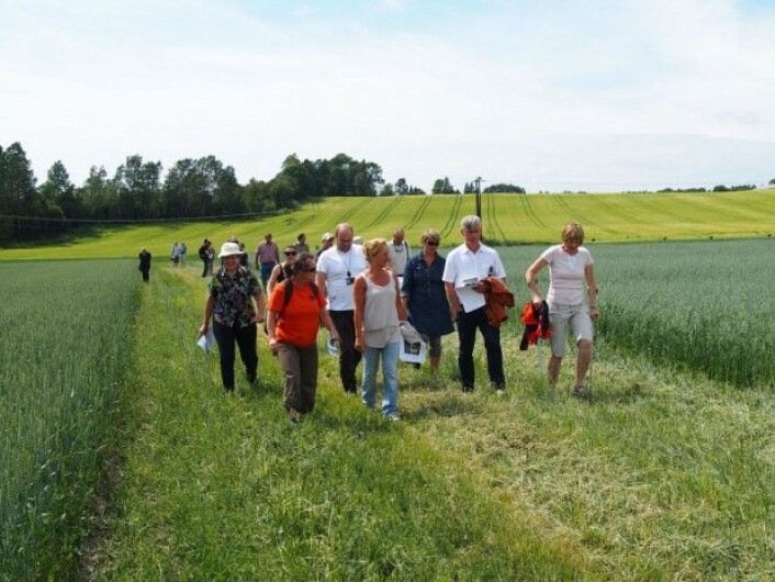 Forskning har liten verdi hvis ikke kunnskapen som genereres blir delt og tatt i bruk. Helt fra starten har AGROPRO lagt ned en betydelig innsats på formidling og kommunikasjon med bønder og andre aktører, bl.a. ved å arrangere markdager, konkurranser, feltvandringer og fagmøter. (Foto: Kathrine Torday Gulden) Forskning har liten verdi hvis ikke kunnskapen som genereres blir delt og tatt i bruk. Helt fra starten har AGROPRO lagt ned en betydelig innsats på formidling og kommunikasjon med bønder og andre aktører, bl.a. ved å arrangere markdager, konkurranser, feltvandringer og fagmøter. (Foto: Kathrine Torday Gulden)
