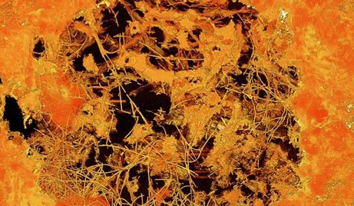 Røntgenbilde av en lavaboble med fossiler forskerne tror er sopp. Bobla er 0,8 millimeter i diameter. (Foto: Stefan Bengtson, Naturhistoriska riksmuseet) Røntgenbilde av en lavaboble med fossiler forskerne tror er sopp. Bobla er 0,8 millimeter i diameter. (Foto: Stefan Bengtson, Naturhistoriska riksmuseet)