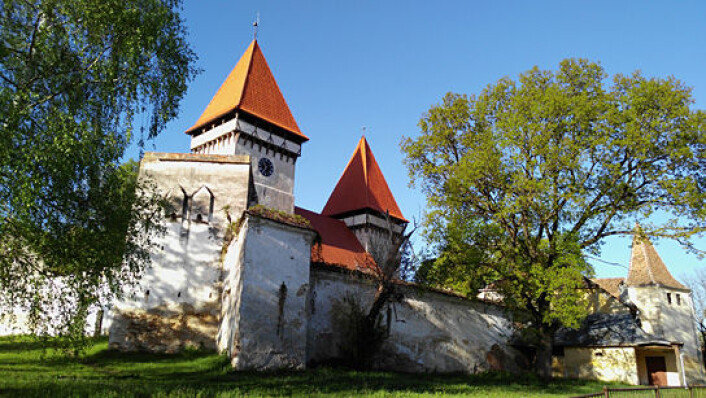 Festningskirken i landsbyen Dealu Frumos er en del av den tyske kulturarven i Transilvania i Romania. (Foto: Ana-Maria Dabija) Festningskirken i landsbyen Dealu Frumos er en del av den tyske kulturarven i Transilvania i Romania. (Foto: Ana-Maria Dabija)