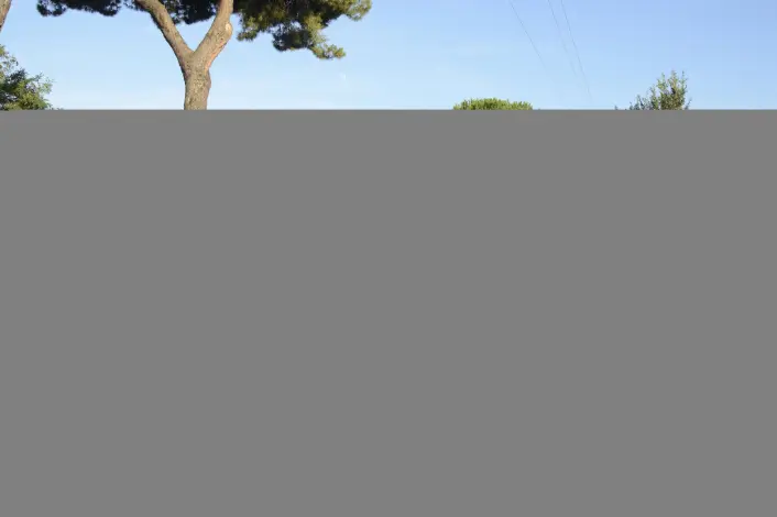 Rester av Via Appia i Roma. Dette er en av de mest berømte veistrekningene som romerne bygde, og den strakk seg fra Roma helt ned til Sør-Italia. (Foto: Livioandronico2013/CC BY-SA 4.0) Rester av Via Appia i Roma. Dette er en av de mest berømte veistrekningene som romerne bygde, og den strakk seg fra Roma helt ned til Sør-Italia. (Foto: Livioandronico2013/CC BY-SA 4.0)