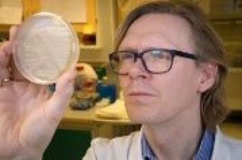 Pål Jarle Johnsen er professor ved institutt for farmasi, UiT Norges arktiske universitet. (Foto: UiT) Pål Jarle Johnsen er professor ved institutt for farmasi, UiT Norges arktiske universitet. (Foto: UiT)