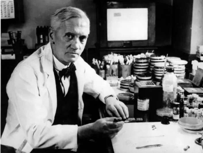 Alexander Flemming oppdaget penicillin i 1928, men det skulle ta over ti år før det ble en medisin (Foto: New York Times).