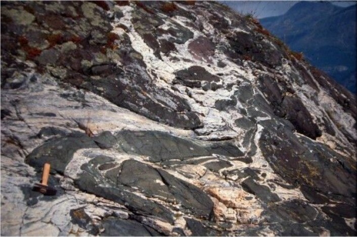 Berggrunnen er en del av naturmangfoldet i Norge. På vestlandet finner vi den eksotiske bergarten eklogitt. Den ble dannet dypt nede i jordskorpa, under den kaledonske fjellkjededannelsen for om lag 400 millioner år siden. (Foto: Ane Engvik / NGU) Berggrunnen er en del av naturmangfoldet i Norge. På vestlandet finner vi den eksotiske bergarten eklogitt. Den ble dannet dypt nede i jordskorpa, under den kaledonske fjellkjededannelsen for om lag 400 millioner år siden. (Foto: Ane Engvik / NGU)