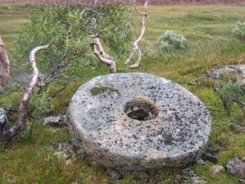 I Selbufjellene har glimmerskifre blitt brukt til å lage kvernsteiner gjennom flere århundre. Vår nye tidsalder krever utnyttelse av en rekke nye mineraler for å drive samfunnsutviklingen videre. (Foto: Ane K. Engvik) I Selbufjellene har glimmerskifre blitt brukt til å lage kvernsteiner gjennom flere århundre. Vår nye tidsalder krever utnyttelse av en rekke nye mineraler for å drive samfunnsutviklingen videre. (Foto: Ane K. Engvik)