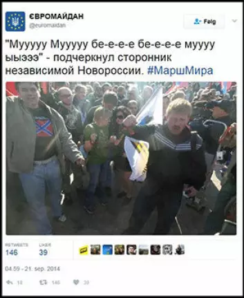 Twitter-post fra Euro Maidan (oversatt fra russisk):«’Muuuuu Muuuuu be-e-e-e be-e-e-e muuuuu yyæææ’ understreket tilhengeren av et uavhengig Novorossija». (Skjermdump fra <a href="https://twitter.com/euromaidan/status/513658708120055808">Twitter</a>)