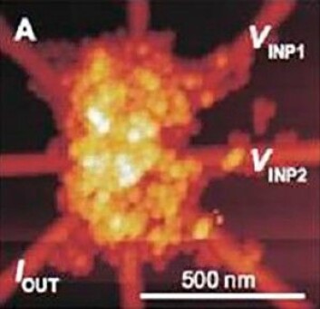 Denne datakretsen – en logisk port – er dannet av evolusjon i nanopartikler fanget i et gitter av elektroder. Prosessen krever nedkjøling til under en grad Kelvin, altså mindre enn en grad fra temperaturskalaens absolutte nullpunkt. (Foto: Universitetet i Twente, Nederland) Denne datakretsen – en logisk port – er dannet av evolusjon i nanopartikler fanget i et gitter av elektroder. Prosessen krever nedkjøling til under en grad Kelvin, altså mindre enn en grad fra temperaturskalaens absolutte nullpunkt. (Foto: Universitetet i Twente, Nederland)