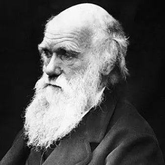 Charles Darwin fotografert av Julia Margaret Cameron i 1868.